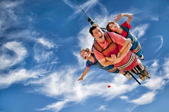 The Track Family Fun Parks